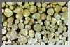 Picture of a Woodpile