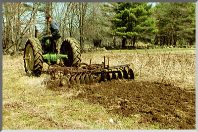 Harrowing asparagus stubble